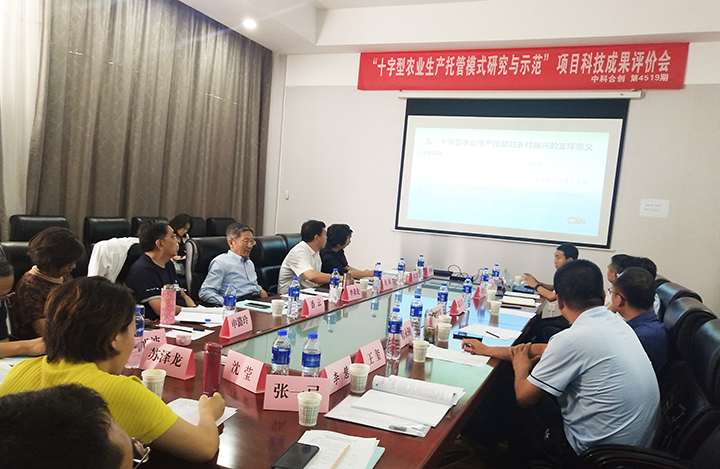 十字型农业生产托管模式研究与示范 anli.jpg